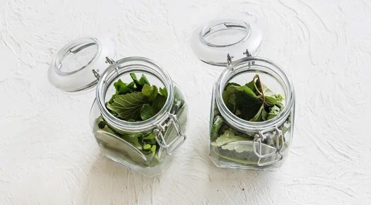 ������ �����: ��� ����������� ������� ������������ �������� ��� ������ �� ����