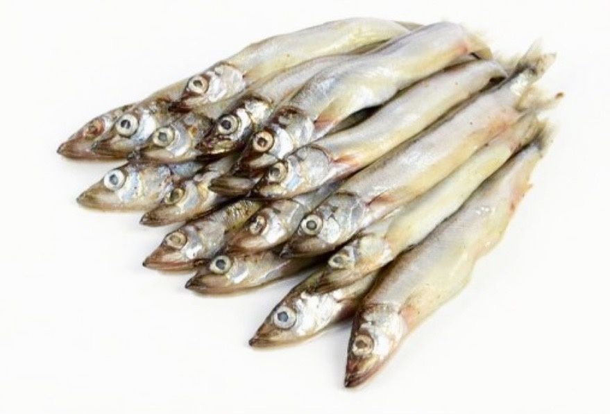 Откройте для себя полезную мойву: топ маринадов для каждой хозяйки