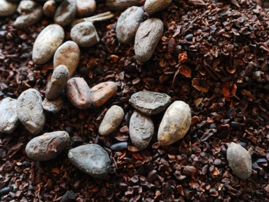 ���� �� �����-���� �������� �������: ��� ��� ��������� �� �����?