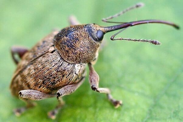 ��� �� �������� �����: ������� � �������� ���������