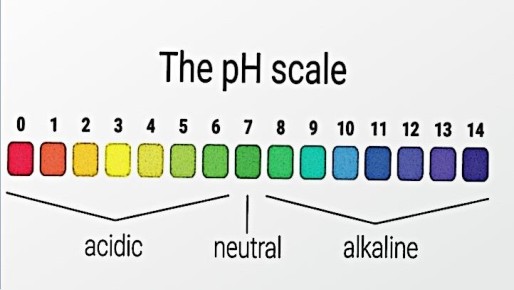 ��� ������������ �������� ������ � ���������: ������� � ����������� ������