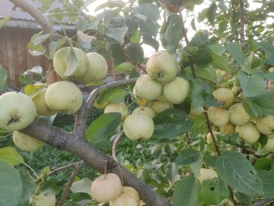 ���� � ����: ��� �������� ������ � ����� �� ����������