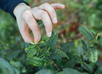 ��� ����� ������������ � ����� ��� �����?