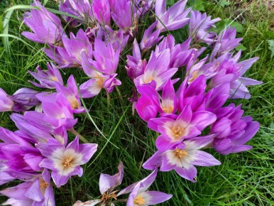 ������� �������������: ���������� ����������� � ������ ����