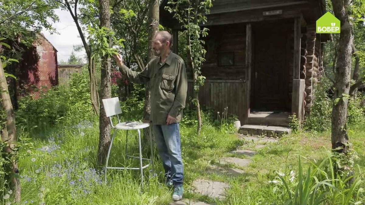 ����� �������� �������� ��������: ��� ������� �������