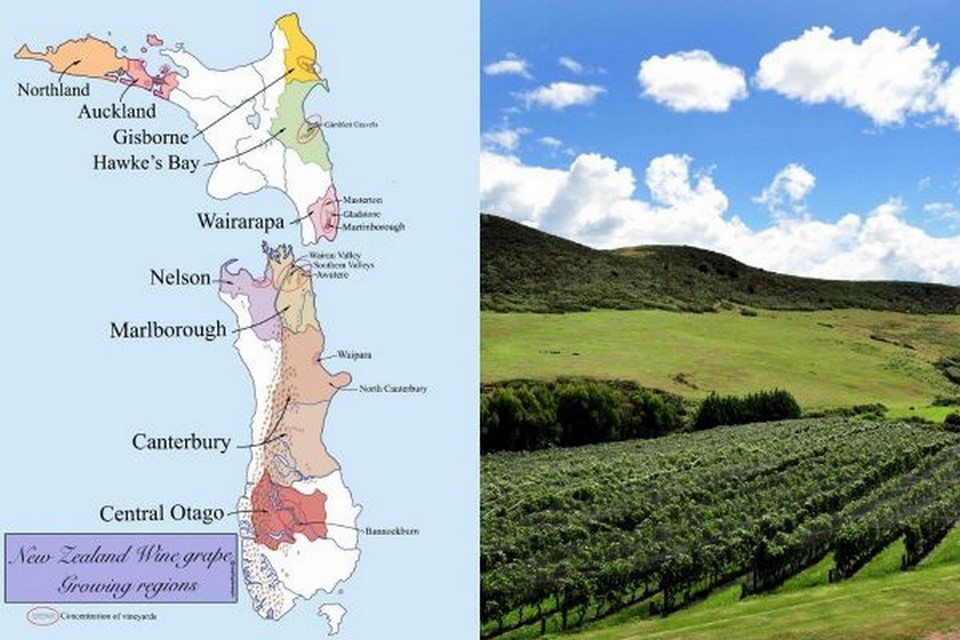 Почему новозеландские вина можно встретить с географическим указанием в других странах