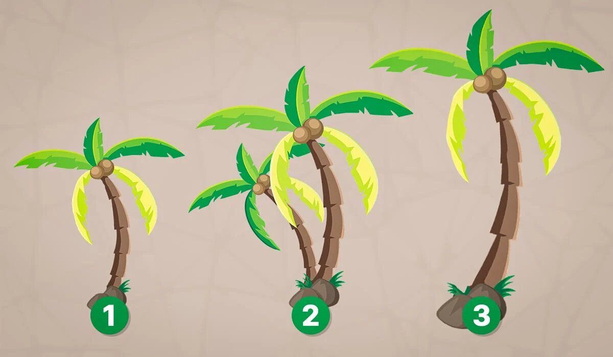 Как тест на личность раскроет ваши истинные черты: выберите палму и узнайте себя