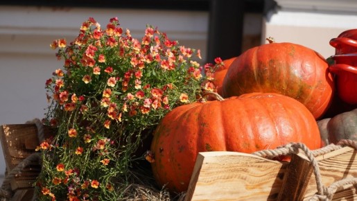 ��� ���������� ����� � ������ ���������� ����