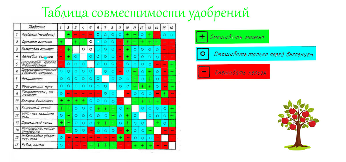 Секреты успешного посева: когда сажать помидоры, чтобы не ошибиться