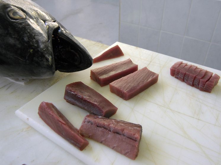 Токийский аукцион установил новый рекорд: голубой тунец за 3,2 миллиона долларов