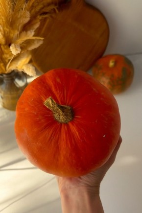 Тыквенные рецепты: осень на вашей кухне