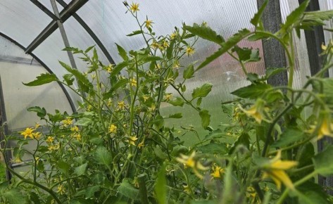 ��� ��������� ������������ ��� ��� ��������� ������ �������