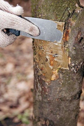 ��� ������ ����� ������ ���� ������� ������� �� �����������