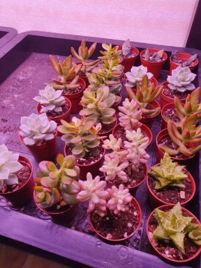 ��� ��������� ������� � ����� ����� ������� �������� ���������