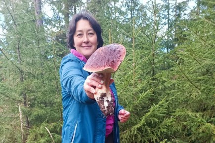 Успех тихой охоты: как собрать грибы и заработать на этом немалые деньги