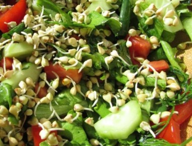 ������� ����� �� ������ ����