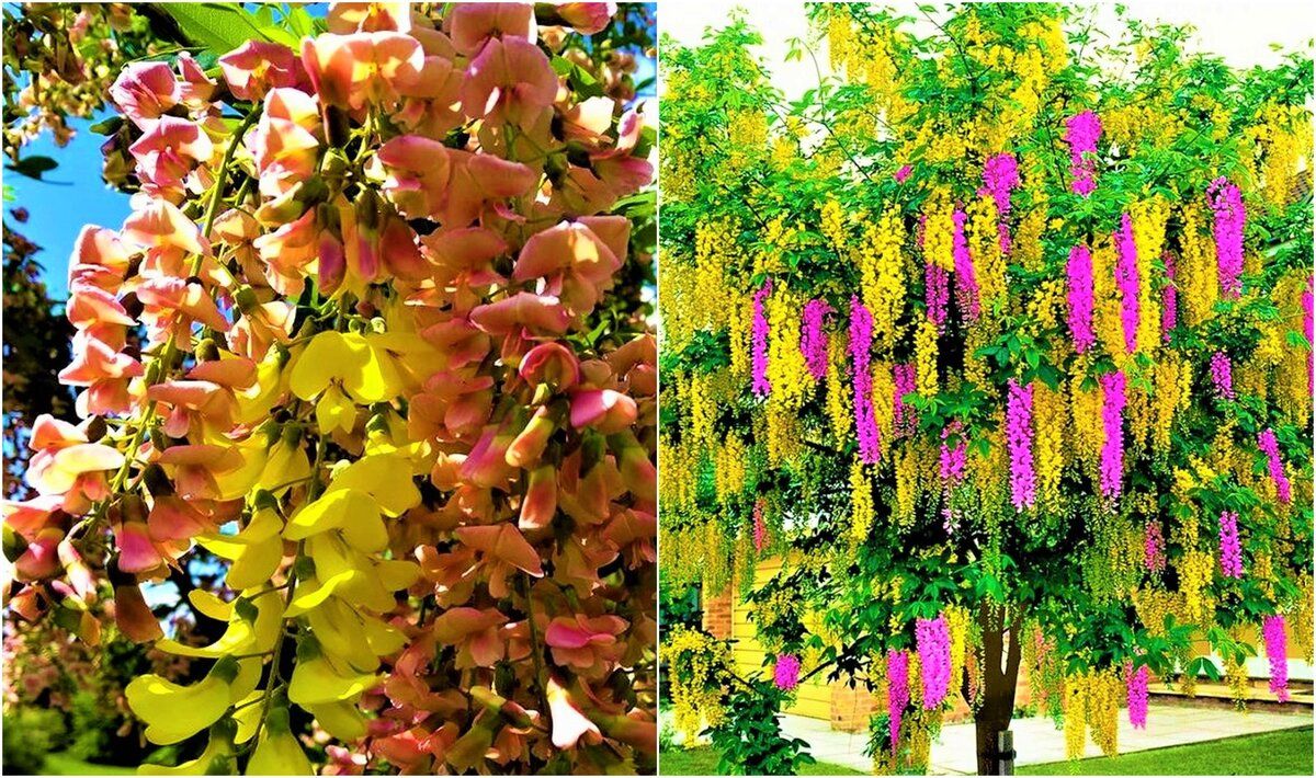 �������������� �����: ���������� ��������� ���� ��� ������ ����