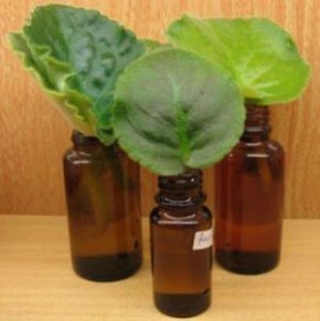 ��������� ����������� ������: ������� ��������� ���������� �� �����