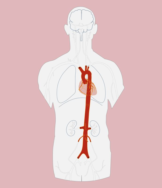 ����� �������� ����� ������: ������� �������� �����