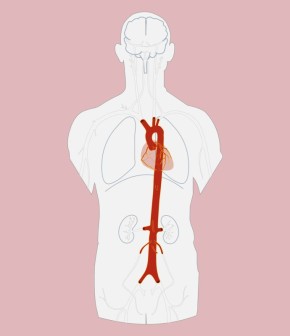 ����� �������� ����� ������: ������� �������� �����