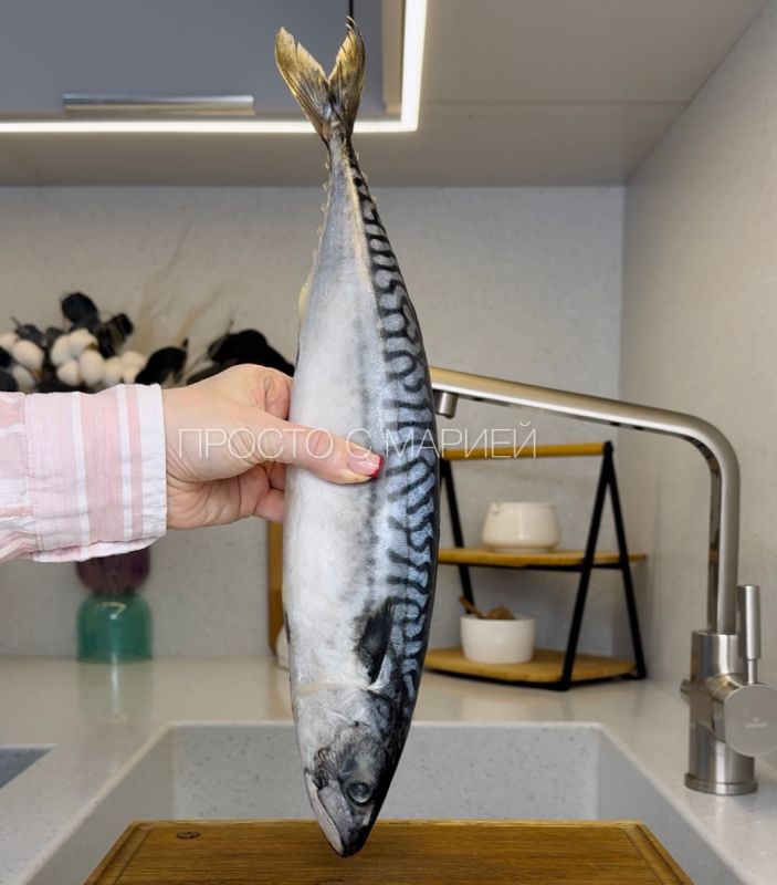 ��� ����� ����������� �������� �� 12 �����: ������� �������� �����������