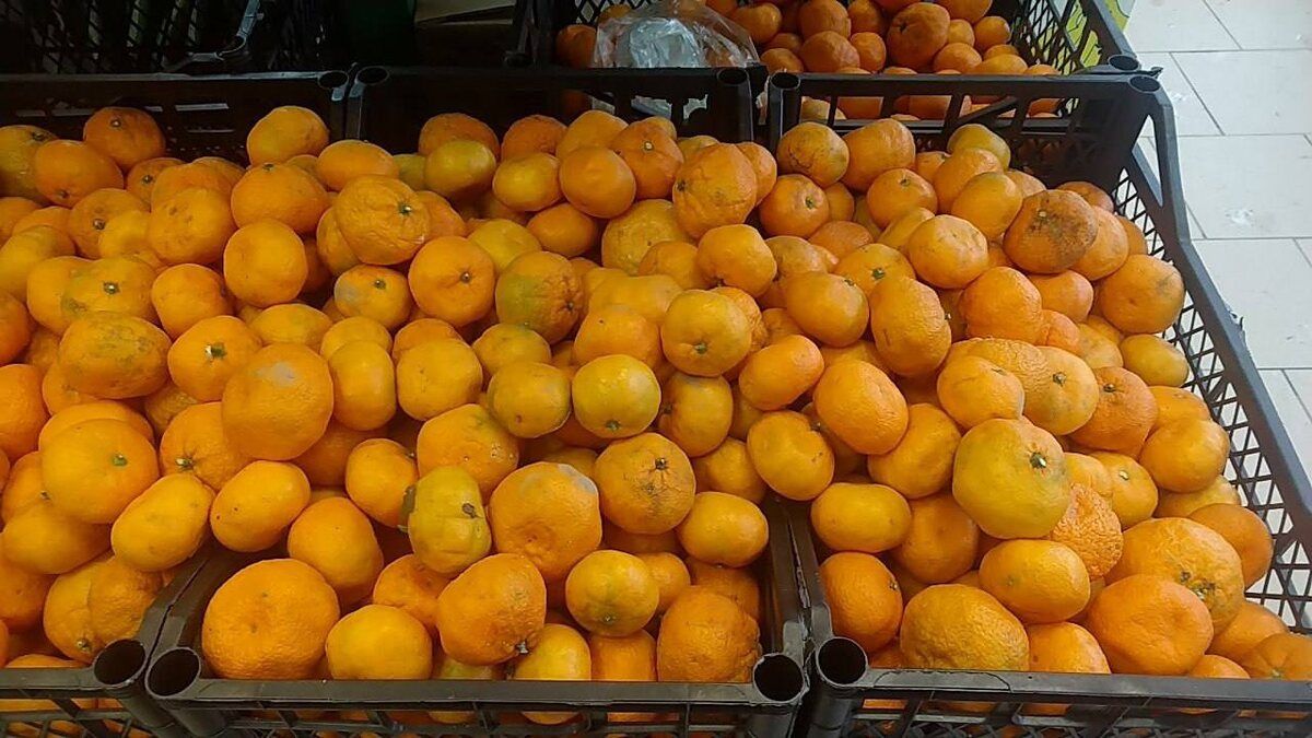 ������������ ����� ���������