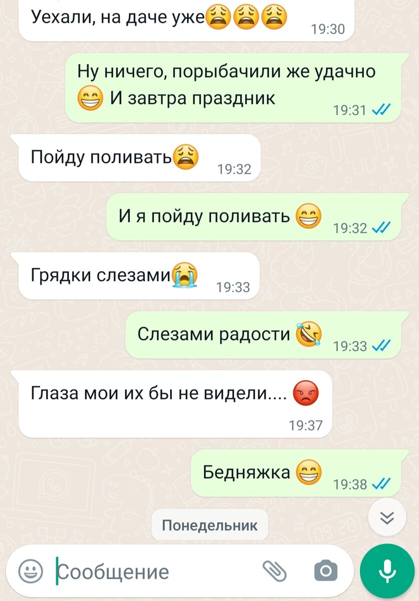 Вкуснейший день на даче: меню для истинного гурмана