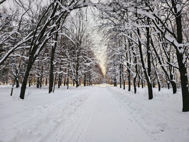 Зимняя прогулка по кусковскому парку и дегустация неожиданного пива