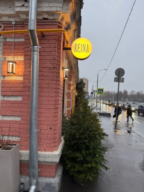 Новый гастрономический оазис столицы: REINA bistro