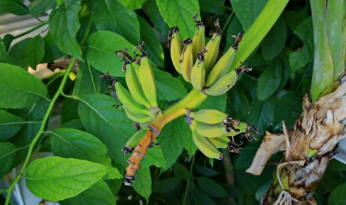 Как овощи и фрукты могут поднять настроение: советы минздрава