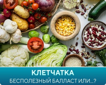 Почему клетчатка — незаменимый элемент вашего рациона