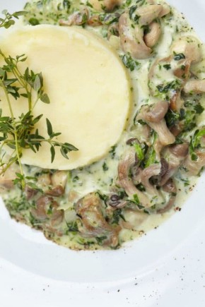 Сливочные грибы: нежное блюдо для гурманов