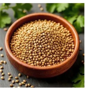 Кориандр: секреты здоровья и советы по использованию в кулинарии