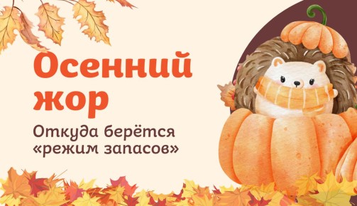 Почему осень вызывает аппетит: секреты природного желания есть больше