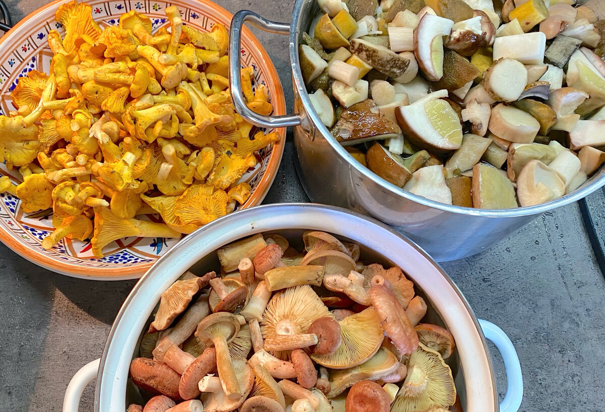 Безопасный и вкусный способ засолки грибов для гурманов