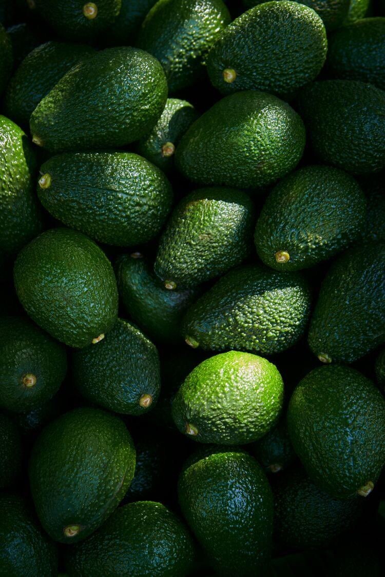 Авокадо: от исторического корма до символа здорового образа жизни