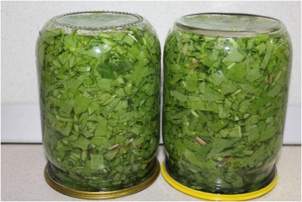 ��� ��������� ������ �� ����: ������ � ������� ������