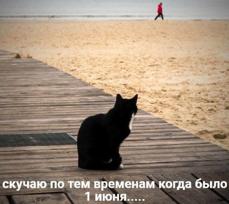 Вкусные приключения на выходных: Хого в ресторане Юаньян