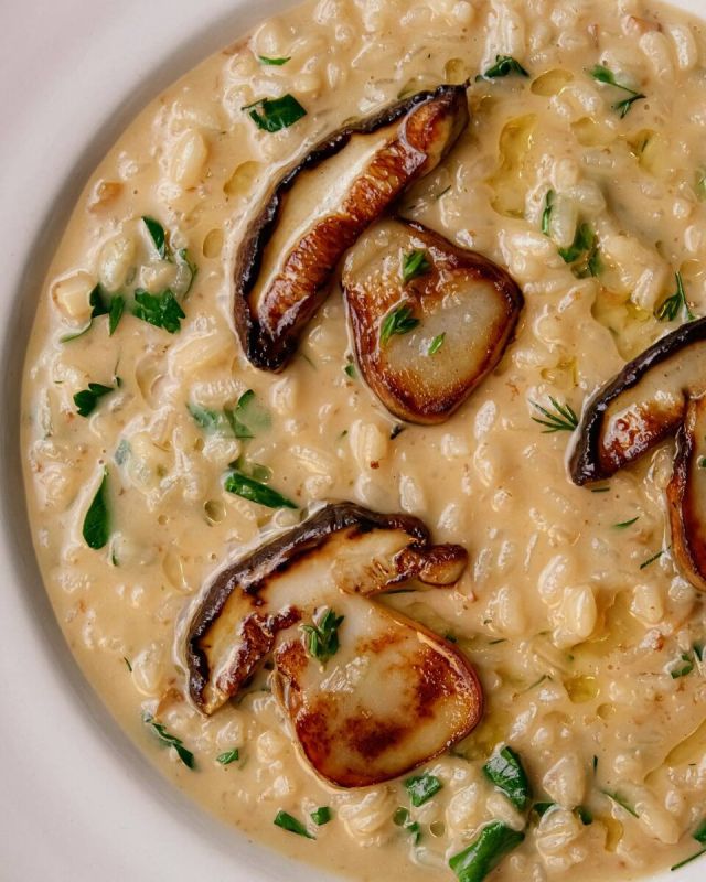 ����� �����: ������� ����, ������� ��������