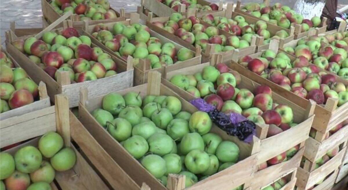 ���������� ������� �������� ������� �� ������������� �����