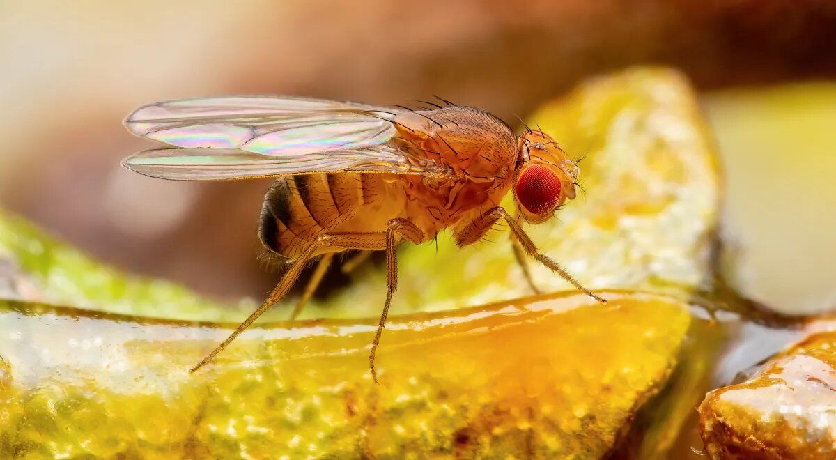 ����� ���� �� ��� � ��� �� ����� ��� ������