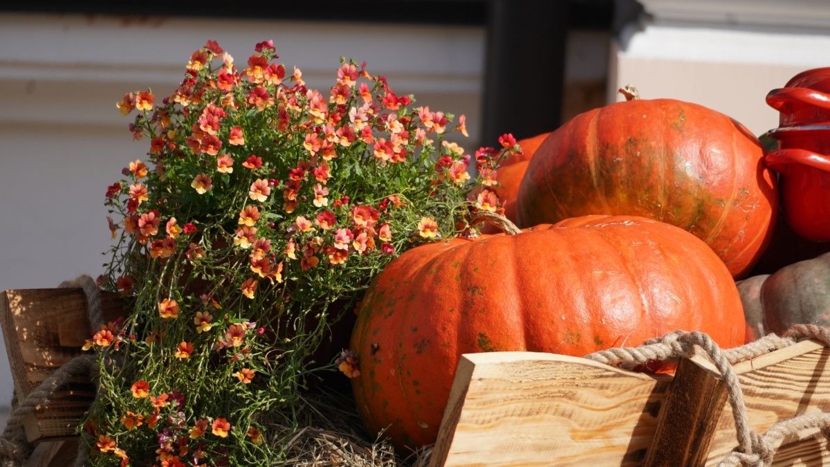 ��� ���������� ������������ ����� ����� ����������� ���� ��������