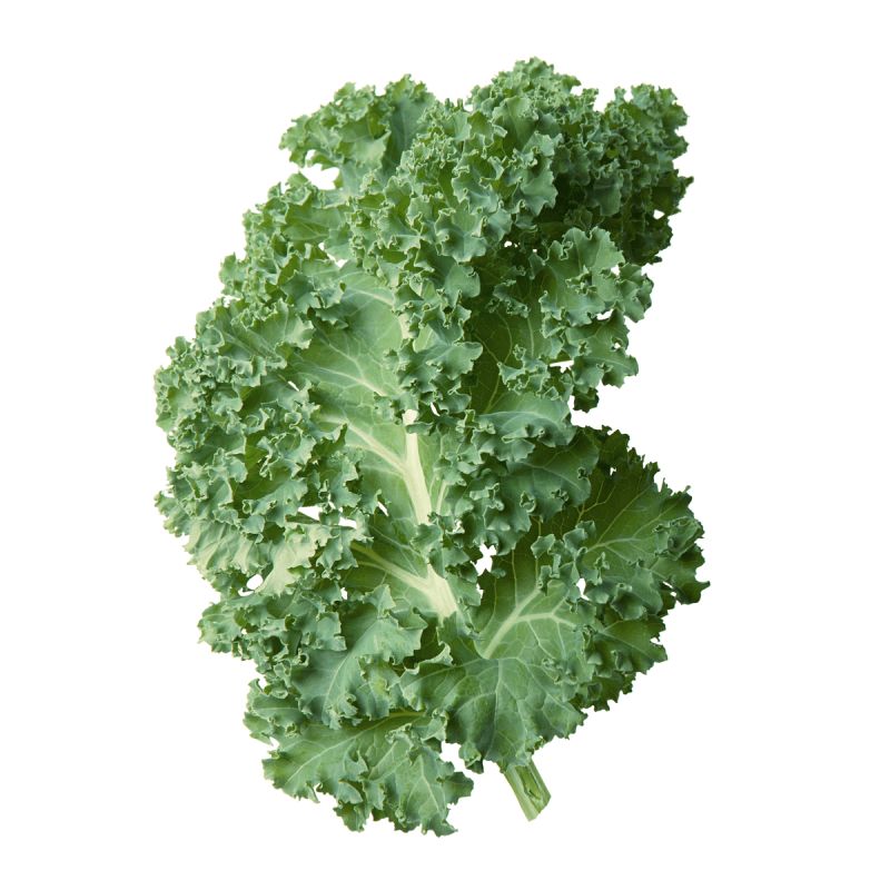 ���-���� �� ������� � �������� ����: ����������� ������ �� �������� �����