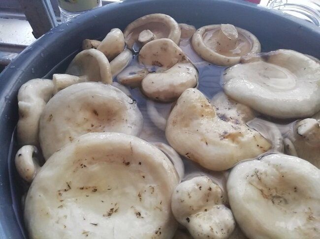 ������� ������ �� ����������� �������: ��� ����������� ������� �������