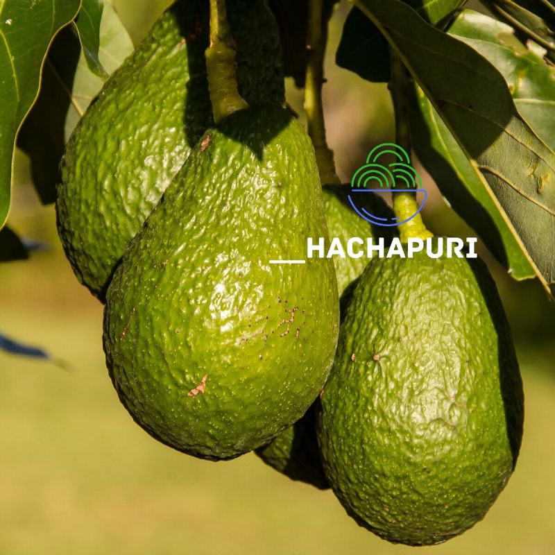 �������� � �������