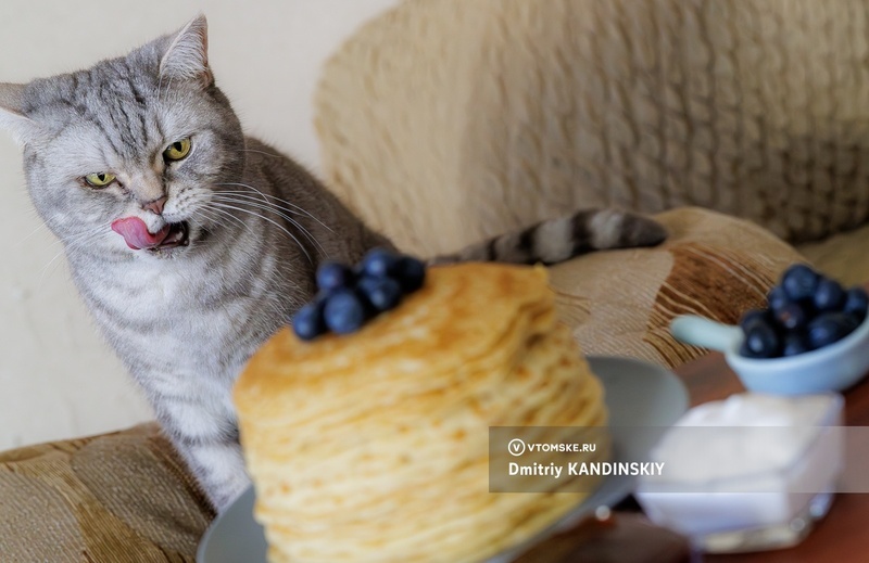 Когда празднуются Масленица, пост и Пасха в 2026 году?