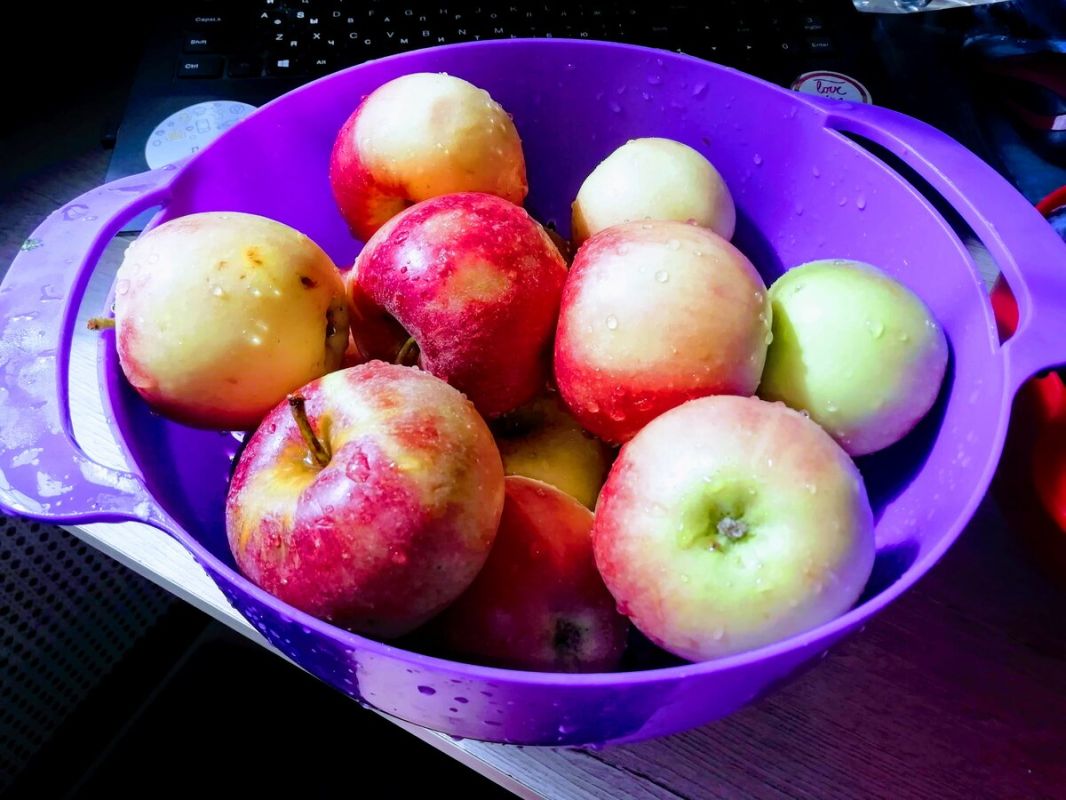 ������ �������� ������� � ����������� ����������� ������: ��������� ������ ��� �����������