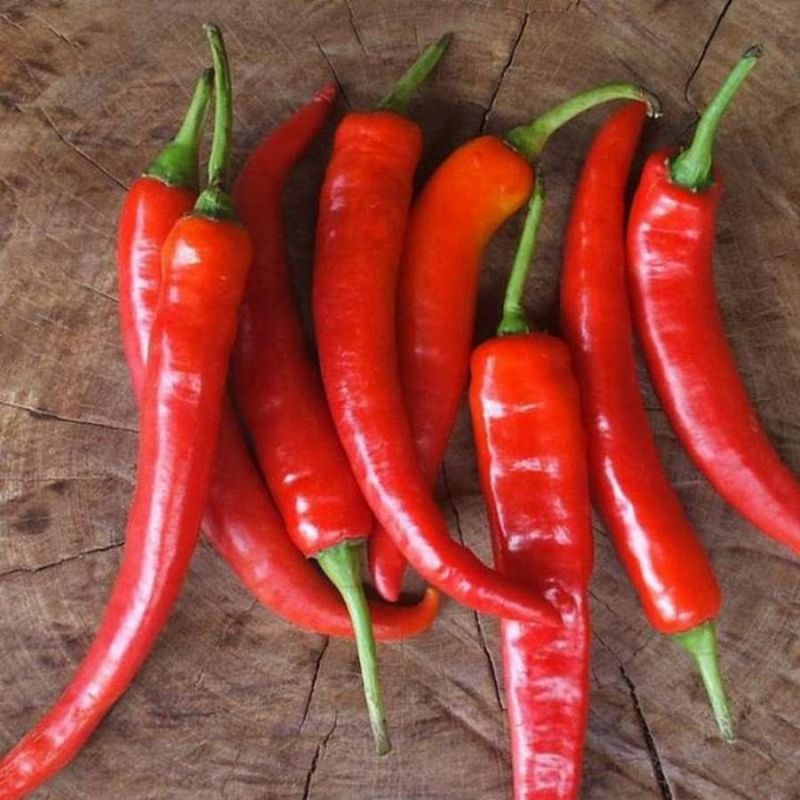 ������ ����� ����� ��� ������: ���-5 ����� ���������