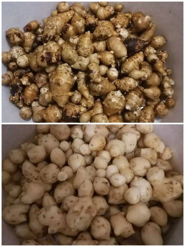 ����� �� �����������: ����� ����� � �������� �������