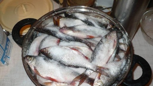 Искусство засолки рыбы: секреты и рецепты для идеального блюда